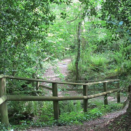 Castle Brake Holiday Park Exeter Extérieur photo